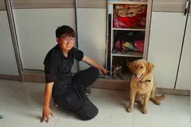 阿拉斯加失踪了，金毛通过嗅觉在衣柜里找到了它，可把小伙气坏了视频封面