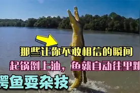 那些让你不敢相信的瞬间，起锅倒上油，鱼就自动往里跳视频封面