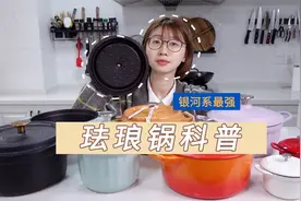 珐琅铸铁锅值不值得买？up花五千多告诉你答案视频封面