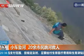 白色轿车失控冲入河道，倒扣在河中，20余名市民奋不顾身跳河救人视频封面