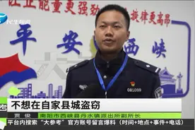 河南南阳：奇葩！俩贼怕被抓丢人，竟跑到外地去偷视频封面