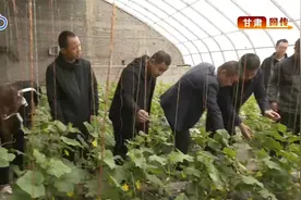 天津围绕对口帮扶地区特色资源 打造优势产业视频封面