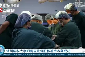 徐州医科大学附属医院同时进行两台异体肾脏移植手术获成功视频封面
