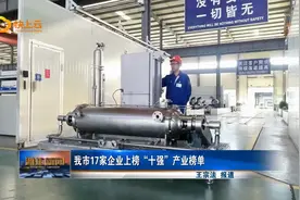 潍坊市17家企业上榜“十强”产业榜单视频封面