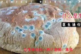 “细菌”是什么东西？医生通俗科普视频封面
