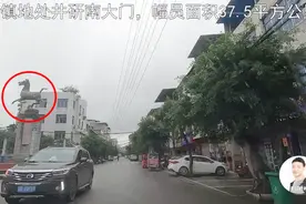 四川乐山马踏镇的地标，跟绵阳的“立马滚蛋”真像！大家觉得呢？视频封面