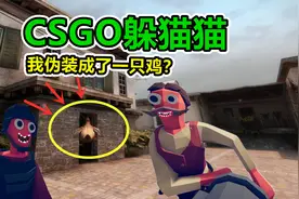 CSGO躲猫猫：我变成了一只鸡，耍的敌人团团转！视频封面