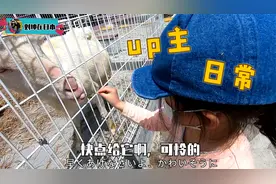 河南小伙不在家，日本老婆带着孩子逛公园，意想不到女儿害怕这个视频封面