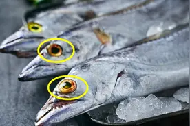 买带鱼时，黑眼睛和黄眼睛差别大，牢记这一点，带鱼鲜嫩无腥味视频封面