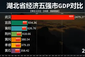 近三十年湖北省经济五强市GDP对比，各大城市你看好谁？视频封面