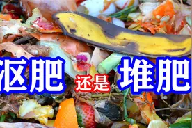 堆肥与沤肥的区别，哪个更好？如何使用？视频封面