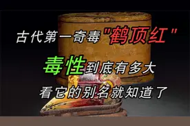古代第一奇毒“鹤顶红”，毒性到底有多大？看它的别名，就知道了视频封面