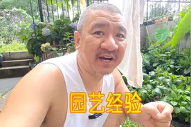 旧花土为什么要把“旧根”都清理出来？不清理有什么坏处？视频封面