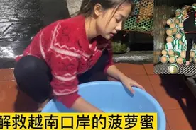 教你一分钟做好越南火锅，还有解救越南的菠萝蜜，都快烂了视频封面