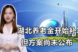 2021年湖北养老金！部分地区上涨养老金开始补发，但方案尚未公布视频封面