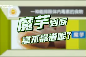 多吃魔芋能减肥？小心营养不良！视频封面