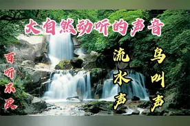 大自然纯音乐，好听的流水声，鸟叫声，高山流水动听的自然声音。视频封面