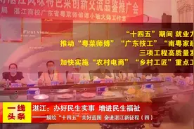 湛江：办好民生实事 增进民生福祉视频封面