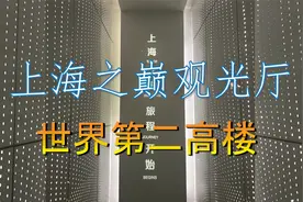 花180元登"上海之巅观光厅·世界第二高楼"，阿飞感叹太壮观了！视频封面