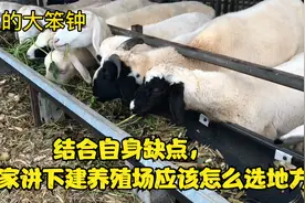 养殖场应该怎么选址，听听我家养殖场的缺点你就明白了视频封面