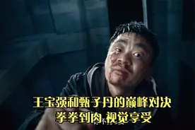 封于修5 王宝强和甄子丹的巅峰对决 拳拳到肉 视觉享受视频封面