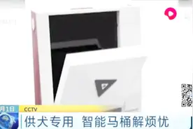 狗狗的专属智能马桶！主人长时间不在家，萌犬也能在屋内“方便”视频封面