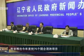 辽宁省推出2021年首批75个国企混改项目视频封面