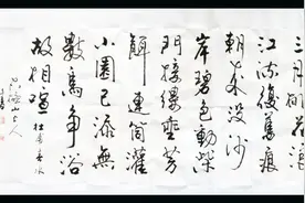 虽然不是半行书，却也不像算盘珠。太极山上人书法欣赏《春水》视频封面