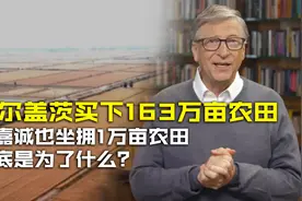 盖茨买下163万亩农田，李嘉诚也坐拥1万亩农田，到底是为了什么？视频封面