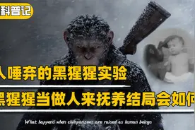 决定人类行为的，是基因还是环境？揭秘恐怖的凯洛格黑猩猩试验视频封面