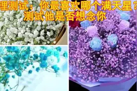 【心理情感测试】你最喜欢哪个满天星？测试他是否想念你？视频封面