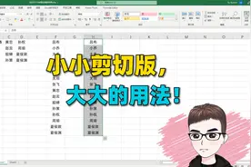 Excel技巧：小小的剪切版，大大的用法，职场必学！视频封面