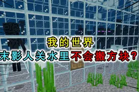 我的世界：末影人不会搬方块了？把末影人关在水里，失去传送能力