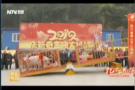 四川仁寿1881斤的元宝猪王到底需要多少人才能与它重量相抗衡？视频封面