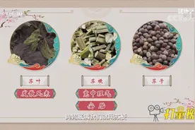 巧用紫苏治感冒！专家推荐一个药方，治外感风寒效果佳|健康之路视频封面