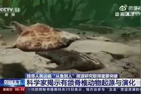 科学家揭示人类是从鱼进化来的视频封面