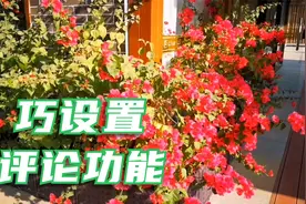 访问一个朋友的视频，只能点赞，不能评论，因为什么？答案找到了