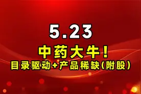 中药大牛！目录驱动+产品稀缺（附股）视频封面