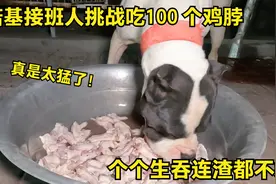 诺基接班人白起挑战吃100 个鸡脖，个个生吞连渣都不剩，太得胃啦视频封面