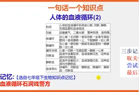 【七年级下册生物知识点记忆】人体的血液循环(2)视频封面