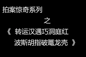 拍案惊奇 卷一:转运汉遇巧洞庭红　波斯胡指破鼍龙壳视频封面