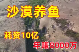 老汉耗资10亿打造沙漠养鱼基地，几经磨难建成年销8000万养鱼基地视频封面