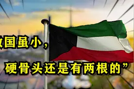 科威特战争：还不起债，那就吞并债主视频封面