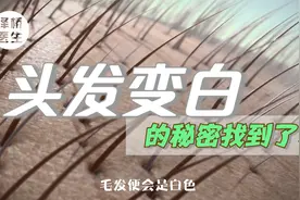 新年从“头”开始，带你了解头发是怎样变白的！视频封面