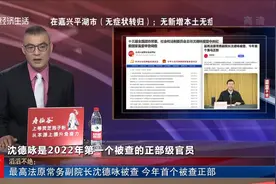 滔滔不绝 最高法原常务副院长沈德咏被查 今年首个被查正部视频封面