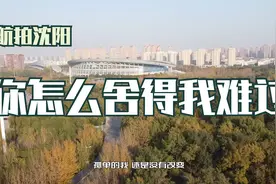 航拍沈阳铁西森林公园体育场：你怎么舍得我难过视频封面