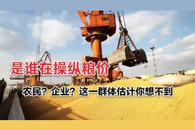 是谁在操纵粮价，农民？企业？这一群体估计你想不到视频封面