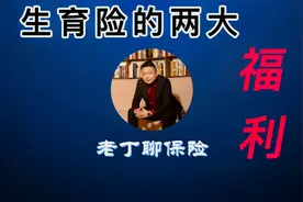 灵活就业人员如何享有生育险的两大福利视频封面