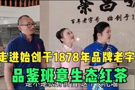 第20集：走进始创于1878年品牌老字号，品鉴班章生态红茶视频封面