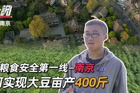 青春用来种大豆，为了中国人端稳饭碗，这届年轻人拼了视频封面